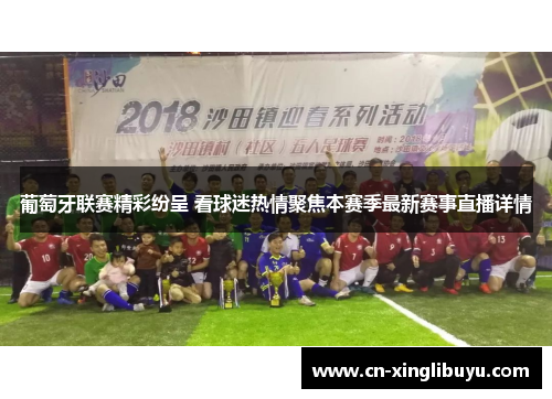 葡萄牙联赛精彩纷呈 看球迷热情聚焦本赛季最新赛事直播详情